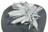 Polished Free-Standing Chrysanthemum Stone - China #352122-1